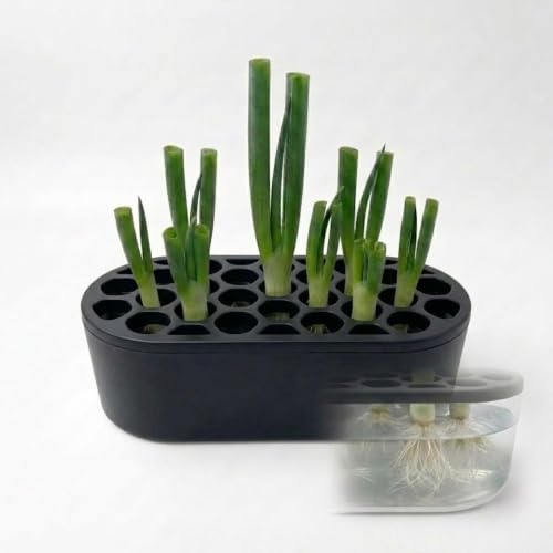Mini Indoor Herb Garden Planter Kit, Rectangle Window Box for Green Onion, Basil & Succulents, Compact Windowsill Scallion Growing Set for Balcony & Small Spaces（Black） - color: Black