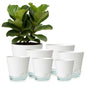 GARDIFE 2026 Upgraded Self Watering Plant Pots with Drainage Hole, 8/7/6.5/6/5.5/5/4 Inch Flower Planting Containers for House Plants, African Violet, Flowers, Cactus (White, 8+7+6.5+6+5.5+5+4 inch) - color: 8-white-upgraded, size: 8+7+6.5+6+5.5+5+4 inch