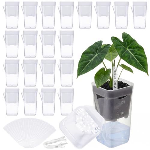LemonRoad 20 Pack 2" Small Self Watering Pots for Indoor Plants - size: 2"