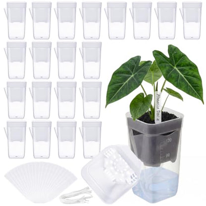 LemonRoad 20 Pack 2" Small Self Watering Pots for Indoor Plants - size: 2"