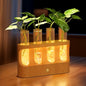 Lightalent Rechargeable Plant Propagation Station, LED Hydroponic Terrarium