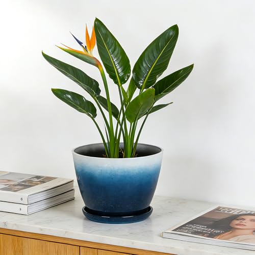 Worth 8 in. Small Plant Pots, Plastic Round 8" Flower Pots Set of 6
