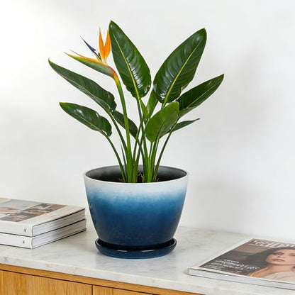 Worth 8 in. Small Plant Pots, Plastic Round 8" Flower Pots Set of 6