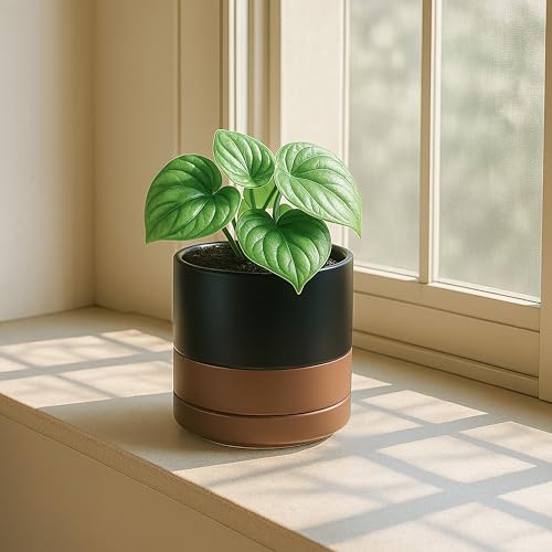 D'vine Dev 4-Pack Ceramic Pots with Saucers, Black/Tan, 4.7 in, 94-X-B-7 - color: Black/Speckled Tan, size: 4.7 Inch