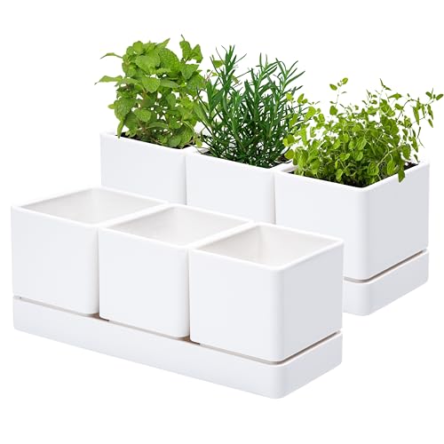 D'vine Dev 2-Pack Plastic Herb Garden Planter Set, White, 76-V-A-2 - color: White, size: 24"