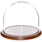 Plymor 8" x 6.5" Glass Display Dome Cloche (Walnut Veneer Base) - color: Walnut Veneer Base