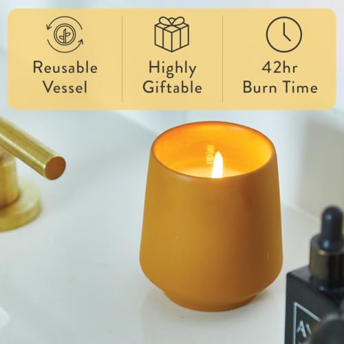 Modern Sprout Soy Candle Planter - Grows Lavender -Cedarwood Scent - 2-Pack - size: Pack of 2