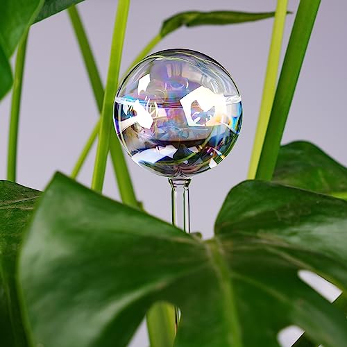 Tomorotec 4Pcs Rainbow Glass Plant Watering Globes, Self Watering Spikes - color: Iridescent 4-Pack