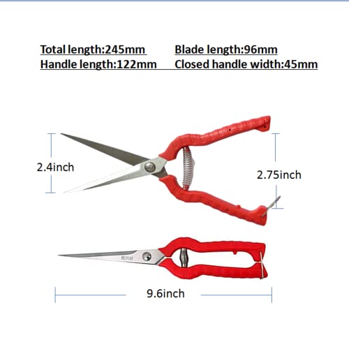 2pack Zsling Extra Long Edge Stainless Steel Pruning Shears Fruit Trees Bonsai Sharp Garden Scissors Tool