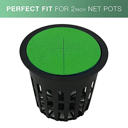 2” Neoprene Foam Inserts for Hydroponics Growing System, Clone Machine, Propagation Indoor Gardening, 100 Pack, Green - color: Green