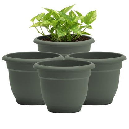Bloem Ariana 6" Plastic Self-Watering Planter, Basil, 4-Pack - color: Basil, size: 6" (Pack of 4)
