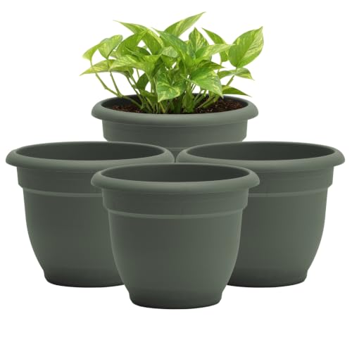 Bloem Ariana 10" Plastic Self-Watering Planter, Basil, 4-Pack - color: Basil, size: 10" (Pack of 4)