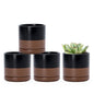 D'vine Dev 4-Pack Ceramic Pots with Saucers, Black/Tan, 3.5 in, 94-X-A-7 - color: Black/Speckled Tan, size: 3.5 Inch