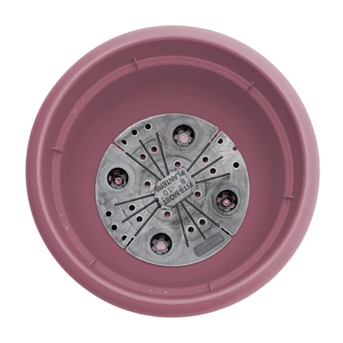 Bloem Ariana 10" Plastic Self-Watering Planter, Dusty Rose, 4-Pack - color: Dusty Rose, size: 10" (Pack of 4)