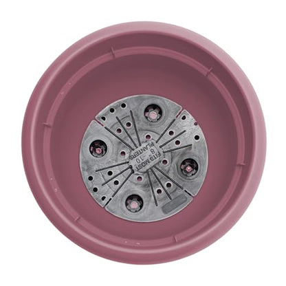 Bloem Ariana 10" Plastic Self-Watering Planter, Dusty Rose, 4-Pack - color: Dusty Rose, size: 10" (Pack of 4)