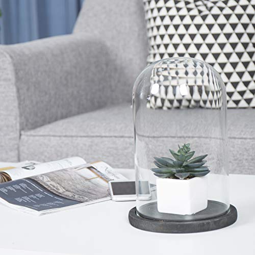 MyGift Bell Jar Glass Cloche Black Wood Base 10 Inch Display Dome - color: Black