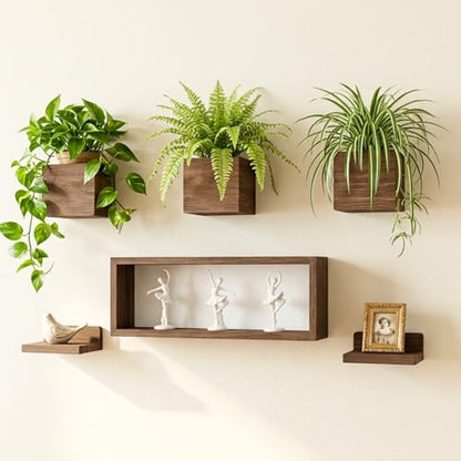 LaLaGreen Wood Planter Box for Indoor Plants (6 Pack) Hanging Wall Planters - size: 6-pc Set B