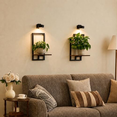 Wall Plant Holder with Grow Lights, Set of 3 Floating Planter Shelves for Indoor Plants, Wall Plant Shelf for Bedroom, Living Room, Kitchen (2, Rustic Brown) - color: Rustic Brown