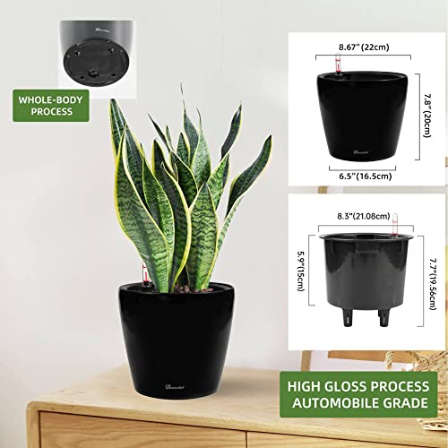 Dexceder 9x8 Self Watering Planter (Black High Gloss) - color: Black, size: 9x8