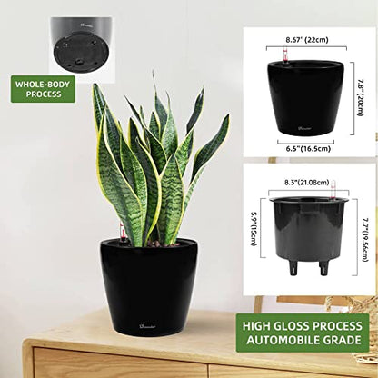Dexceder 9x8 Self Watering Planter (Black High Gloss) - color: Black, size: 9x8