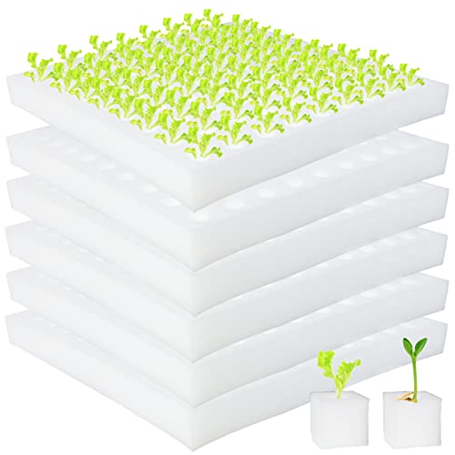 600 Pcs Hydroponic Sponges, 1 in Square Seedling Sponges for Bud