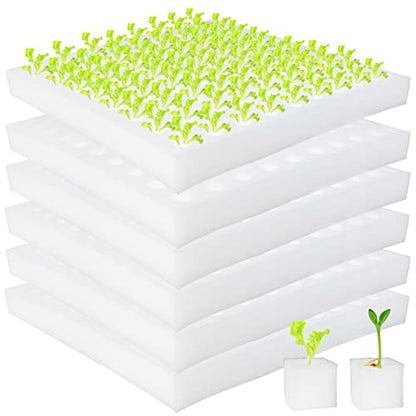 600 Pcs Hydroponic Sponges, 1 in Square Seedling Sponges for Bud