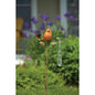 Ancient Graffiti Ceramic Spice Bird Rain Gauge