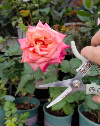 Fondwell 6" Small Pruning Shears Garden Scissors for Indoor Plants Trimming