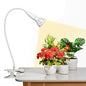Clip on Grow Light for Indoor Plants, 10W LED Bulb, 150W Equivalent - size: 1 Head