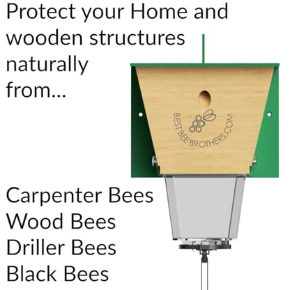 Ultimate Pro Outdoor Carpenter Bee Trap by Best Bee Brothers, White 4-Pack - color: White, size: 4 Pack