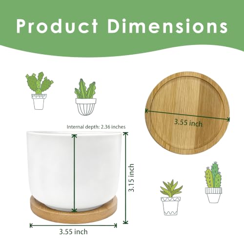 Hairdresser Gifts Plant Pots Succulent Planters - color: Style a -L