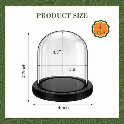 Suclain 4Pc Glass Dome Cloche with Wood Base, Black, 4.3" X 3.8" - color: Black, size: 4.3" X 3.8"