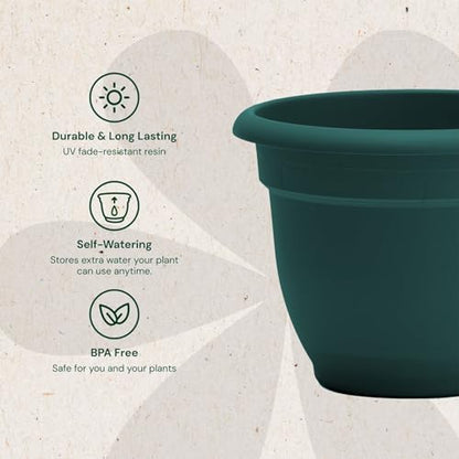 Bloem Ariana 20" Plastic Self-Watering Planter, Charleston Green, 2-Pack - color: Charleston, size: 20" (Pack of 2)