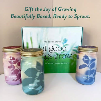 Modern Sprout Garden Jar Gift Pack - Hydroponic Kit - Basil, Parsley & Mint - color: Basil, Parsley, Mint, size: Garden Jar Gift Box Set