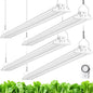Barrina TX72 4FT LED Grow Light, 288W (4 x 72W), 5000K Daylight - color: 5000K, size: 4FT-72W-4P