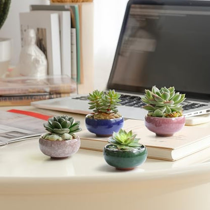 T4U Mini Succulent Pots, Small Shallow Ceramic Pots, Retro Gift Set of 12 - size: Small