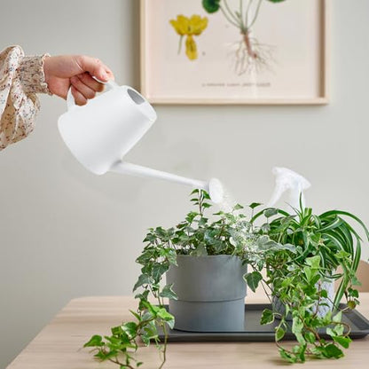Indoor and Outdoor Watering Can - Long Spout -1/2 Gallon (64oz) - White - color: White