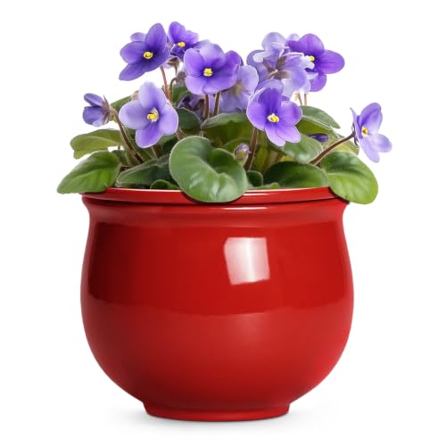 8 Inch Ceramic Self Watering Pots with Absorbent Inner Pot, Red - color: Red, size: 8 Inch