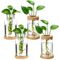 Layhit 4 Pcs Plants Propagation Stations vases Glass Planters with Wooden Lid and Bamboo Stand for Hydroponic Plants Gardening Gifts for Women Mom Home Office Tabletop Decoration(Wide Mouth Style) - style: Beautiful Home Decorations