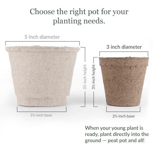 Jiffy Biodegradable Peat Pots for Seedlings, 3 Inch, 100 Pack - color: 100 Pots, size: Large