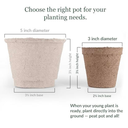 Jiffy Biodegradable Peat Pots for Seedlings, 3 Inch, 100 Pack - color: 100 Pots, size: Large