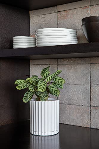Veradek Demi Series Demi 6" Planter w/Tray, White - color: White, size: 6 inch