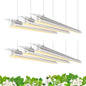 Barrina T8 Grow Light, 4FT 42W Full Spectrum LED Plant Light Strip, 6 Packs - color: Yellow, size: 4ft-6 Packs