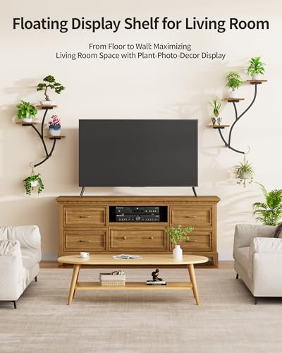 2 Pack Wall Mounted Plant Holder, 6-Tier Hanging Planters for Indoor Plants