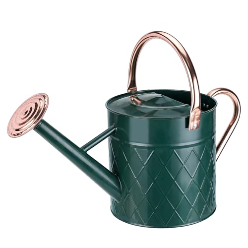 1.75 Gallon Outdoor Metal Watering Can for Garden Plants, Vintage Zinc Watering Can with Removable Spray Spout, Ideal for Outdoor Use (Green) - color: Green