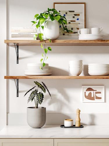 LE TAUCI 6 Inch Ceramic Plant Pot, Small Indoor Planter, Neutral Gray - color: Neutral Gray, size: 6 Inch