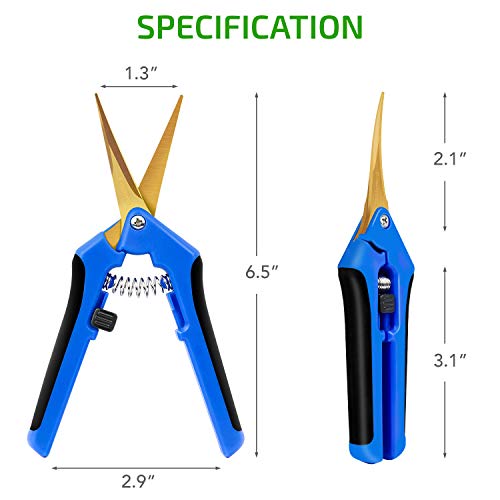 iPower GLPRNR6BLTI 6.5" Pruning Shear Hand Pruner for Gardening Potting with Titanium Coated Curved Precision Blades, 1-Pack, Blue - size: 1Pack, style: Blue