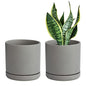D'vine Dev 2-Pack Ceramic Pots with Saucers, Grey, 6 in, 94-V-C-3 - color: Gray, size: 6 Inch