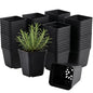 100 Packs Square Nursery Pots for Plants 2.8 Inch Seedling Pots - size: 2.8 Inch