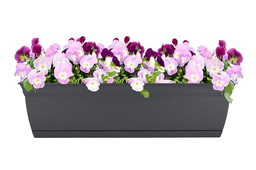 The HC Companies Eclipse Window Planter Box, 24 Inch, Warm Gray, 2-Pack - color: Warm Gray, size: 24" (Pack of 2)